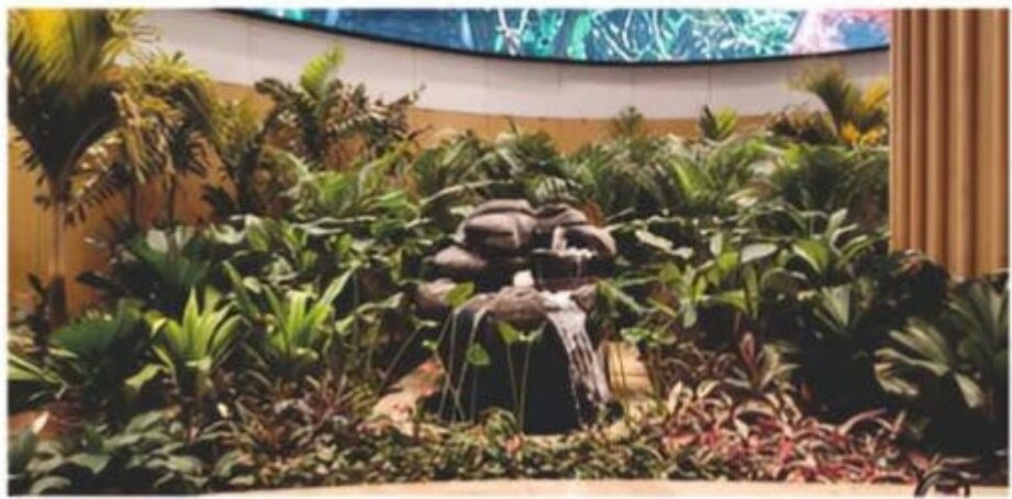 Indoor Water Feature